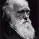 What IT Customers Can Learn from Charles Darwin