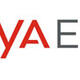 DatapointEurope achieves Diamond Status as an Avaya Edge Channel Partner