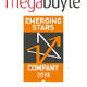 Agilitas recognised as an Emerging Star at annual Megabuyte awards
