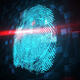 Veridium strengthens senior team to field growth in biometrics authentication